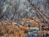 CreekWay HDR